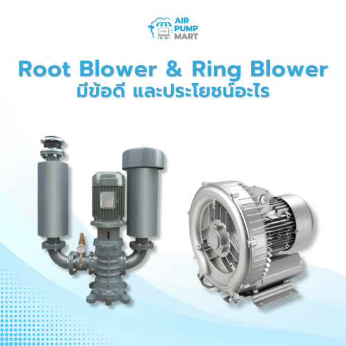 Root Blower & Ring Blower - มีข้อดี และประโยชน์อะไร - AirPumpMart